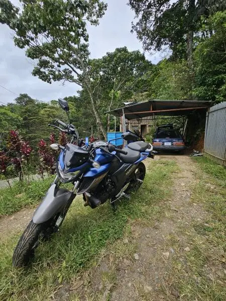 Yamaha, FZ 250, 2021