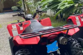 Suzuki, Kingquad, 2022
