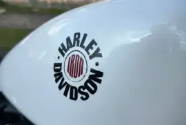 Harley-Davidson, Iron 2020, 2020
