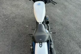 Harley-Davidson, Iron 2020, 2020