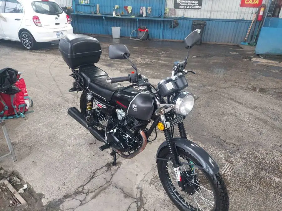 Serpento, Taypan, 2021