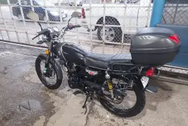 Serpento, Taypan, 2021