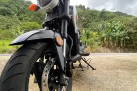 Serpento, Nova, 2024