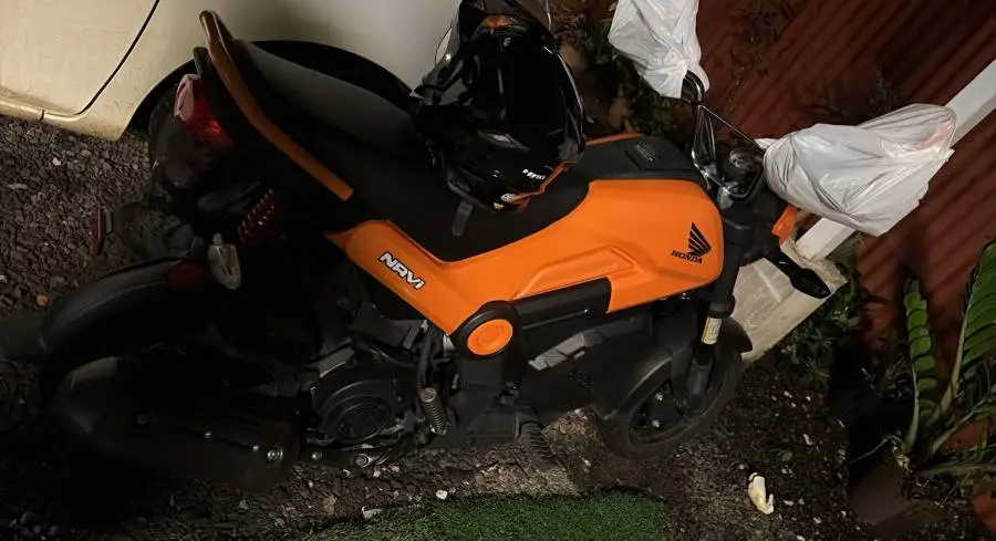 Honda, Navi , 2024