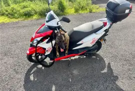 Honda, Élite , 2020