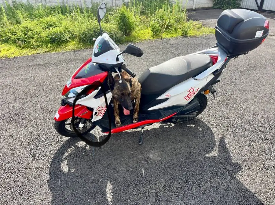 Honda, Élite , 2020