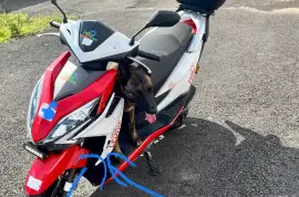 Honda, Élite , 2020