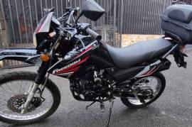 Freedom, HERCULES ZS250GY-6, 2020