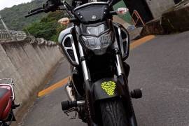 Yamaha, Yamaha FZ 3.0, 2021 Yamaha, Yamaha FZ 3.0, 2021