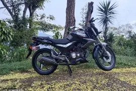 Benelli, Tnt15 , 2024