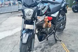 Benelli, Tnt15 , 2024