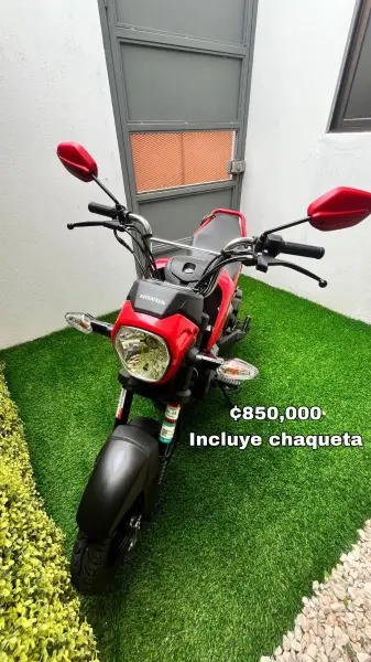 Honda, Navy, 2024