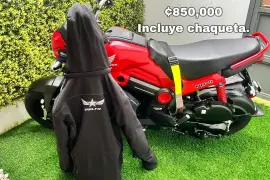 Honda, Navi, 2024