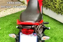 Honda, Navi, 2024