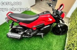 Honda, Navi, 2024
