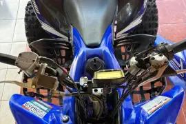 Yamaha, Raptor, 2008