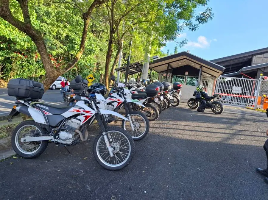 Honda, XR250R, 2020
