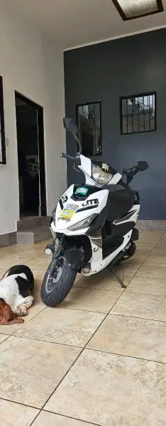 Katana, Lite, 2019