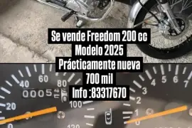 Freedom, Zs , 2025