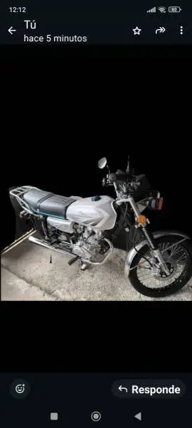 Freedom, Zs , 2025