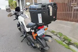 Honda, Navi, 2019