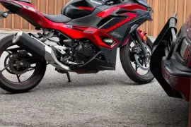 Kawasaki, Ninja 500, 2024