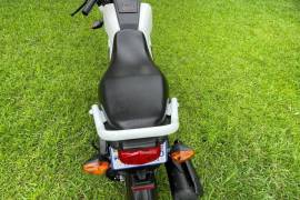 Honda, Navi, 2020