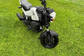 Honda, Navi, 2020