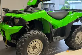 Kawasaki, Brute Force, 2008
