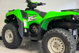 Kawasaki, Brute Force, 2008
