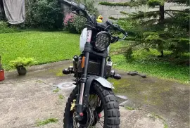 RAMBike, Racer 300, 2024