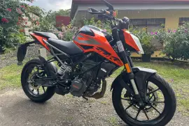 KTM, Duke , 2024