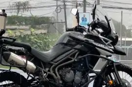 Triumph, Tiger XCX, 2019