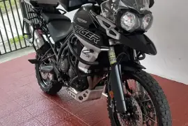 Triumph, Tiger XCX, 2019