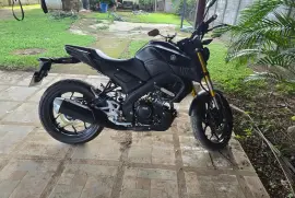 Yamaha, MT15, 2025