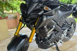 Yamaha, MT15, 2025