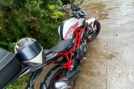 Benelli, TNT25N, 2022