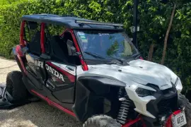 Honda, Talon 1000R-4, 2024