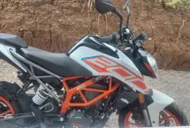 KTM, Duke , 2024