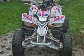 Yamaha, Blaster , 2008