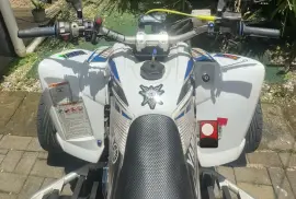 Yamaha, Raptor , 2006
