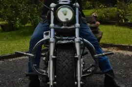 Harley-Davidson, XL1200C, 2012
