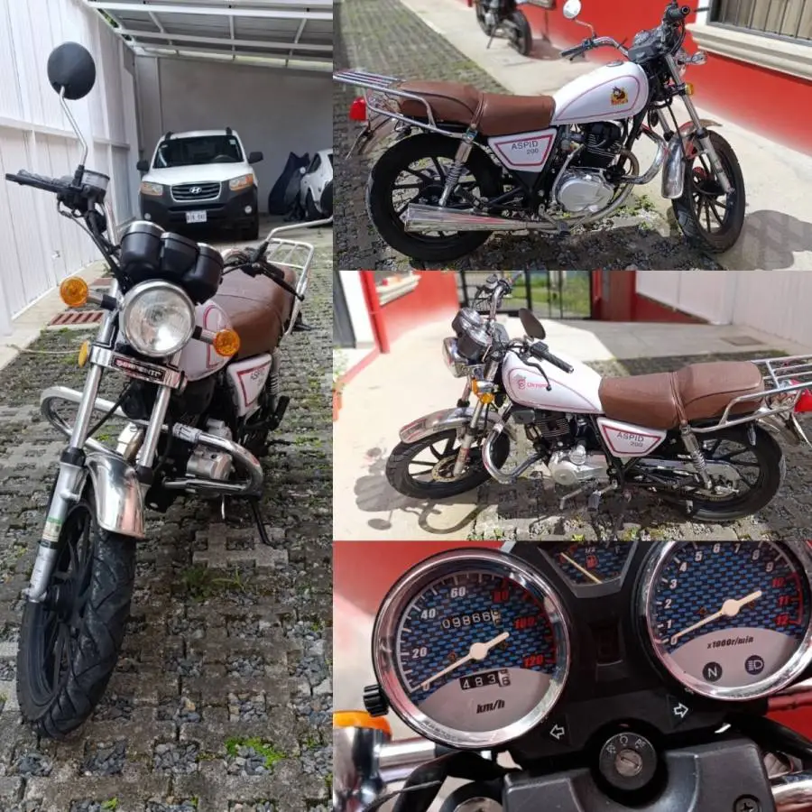 Serpento, Aspid , 2021