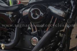 Harley-Davidson, Sportster Forty-Eight , 2019