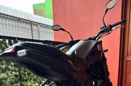 Benelli, Leoncino , 2023