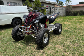 Yamaha, RAPTOR, 2010