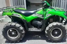 Kawasaki, Brute Force SE, 2016