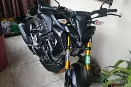 Yamaha, MT15, 2025