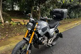Vento, Screamer, 2024