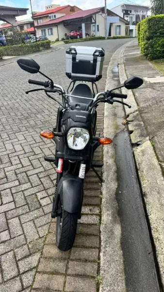 Honda, Navi, 2019